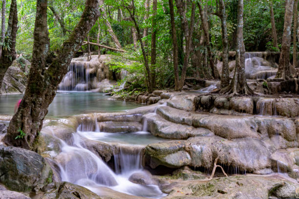 agua esmeralda verde limpia de la cascada rodeado de pequeños árboles - árboles grandes, color verde, cascada erawan, provincia de kanchanaburi, tailandia - tropical rainforest thailand root waterfall fotografías e imágenes de stock