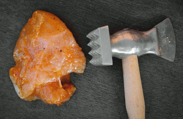 istock Turkey fillet. 1160752211