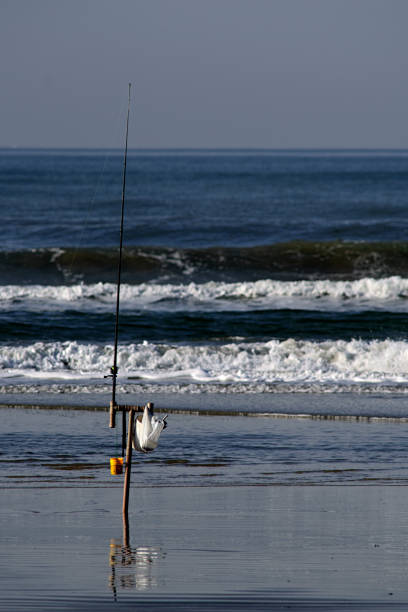 istock Fishing Rod 1160752270