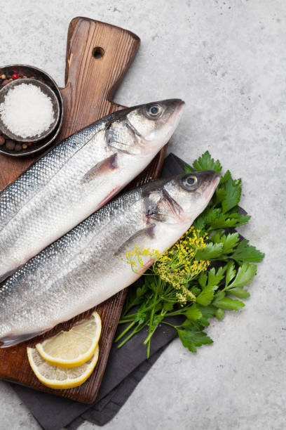 istock Fresh seafood. Trout fish 1160753356