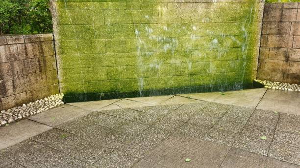 istock Wall of water 1160753459