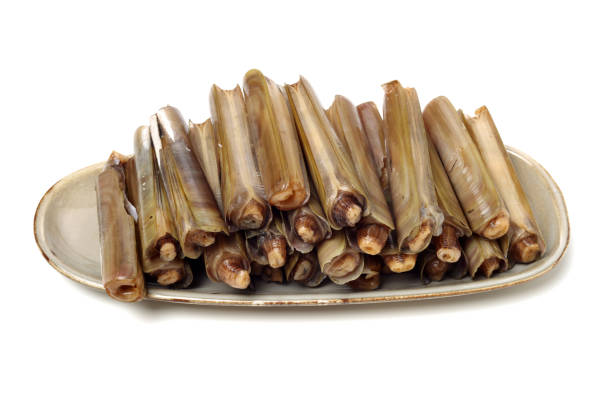 istock Razor clams isolated on white background. 1160756272