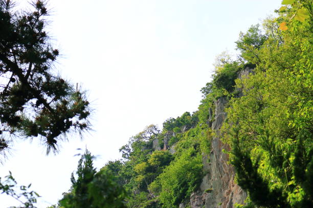 This is the view of the mountain mountain in Jeju.