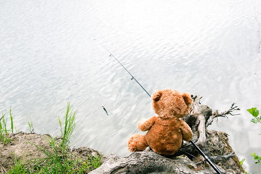 Brown Teddy Bear Sits By The Lake With A Fishing Rod And Catches Fish  Summer Nature Idyllic Landscape Stock Photo - Download Image Now - iStock