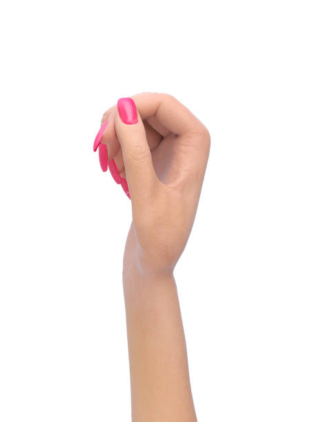 istock female hand in a static pose holding a sheet or card 3d render on white 1160758299