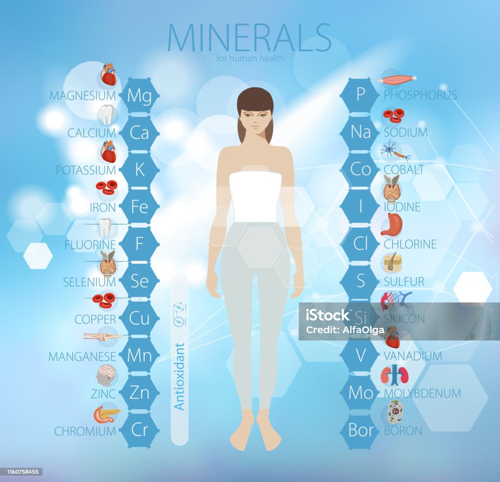 Microelement Human Abstr07 Stock Illustration - Download Image Now - Kidney - Organ ...