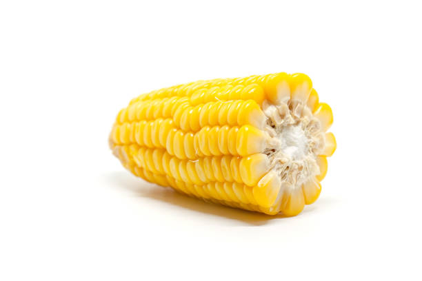 istock Sweet corn on white background for food ingredients and cooking concept 1160760231
