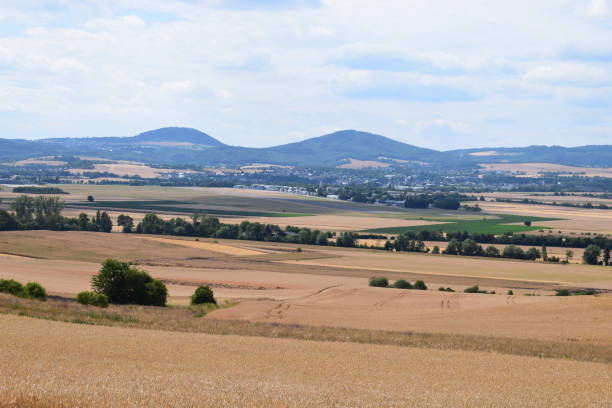 istock ripe grain fields in fornt of volcano hills 1160760271