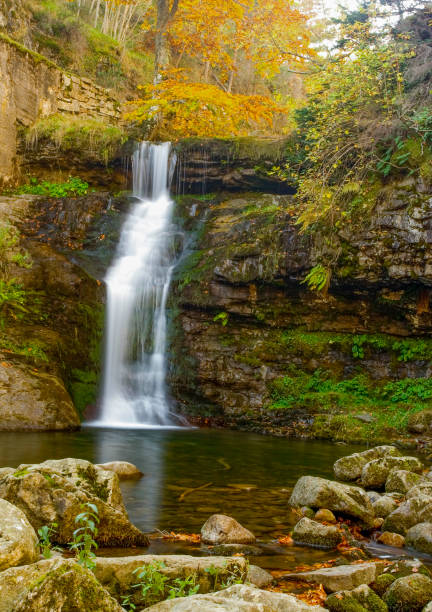istock beautiful cascade waterfall in autumn forest, silky smooth stream - Image 1160761616