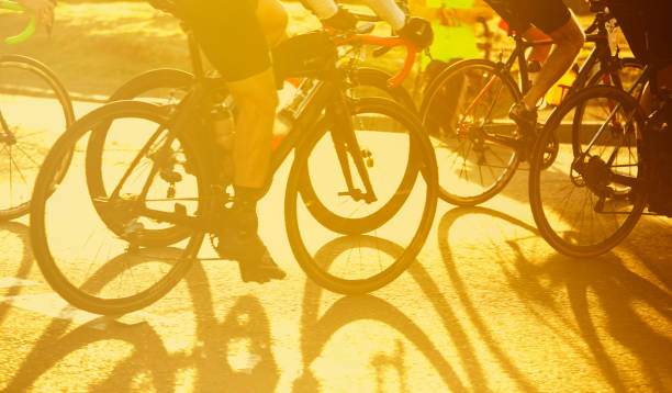 Shadows of bicycle rides on the road at dawn