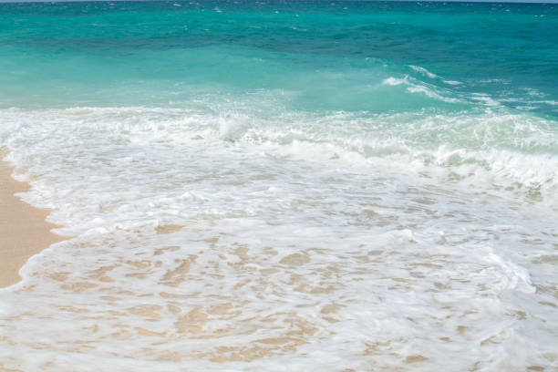 istock beautiful sandy beach and soft blue ocean wave 1160763387