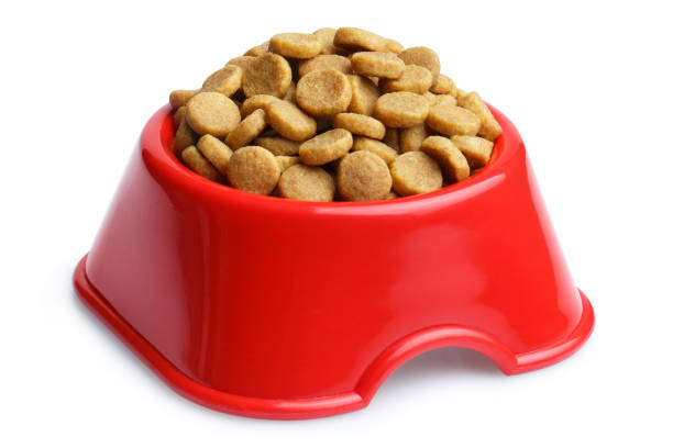 istock Dry cat food in a red bowl 1160765271