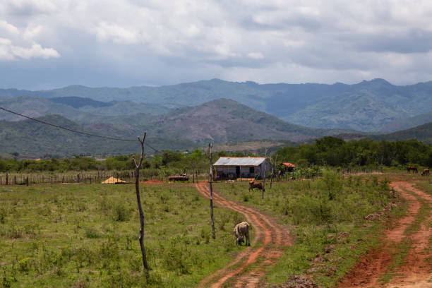 istock Trinidad, Cuba 1160765789