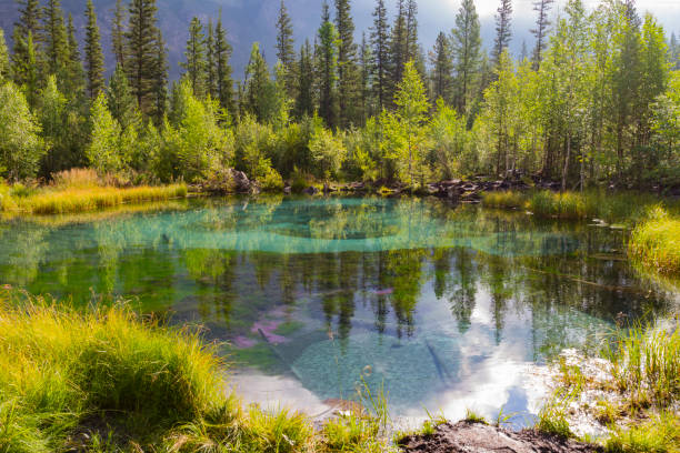 istock The green thermal lake 1160766102