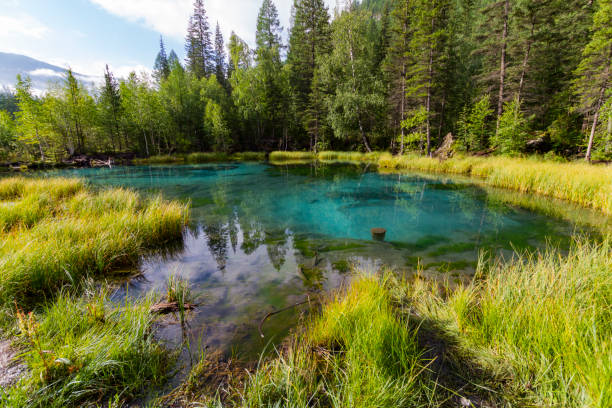istock The green thermal lake 1160766139