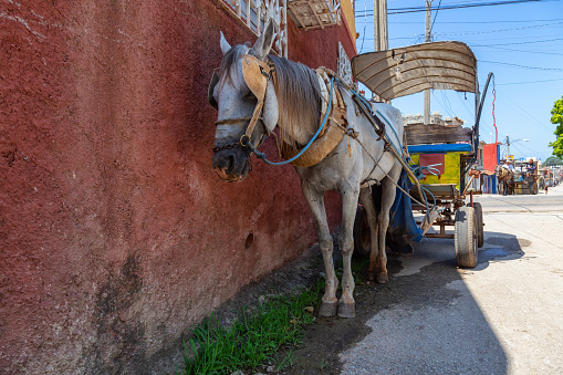 Trinidad, Cuba - June 6, 2019: Horse Carriage in the streets of a small Cuban Town during a vibrant sunny day.