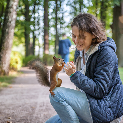 Beautiful young woman feeding a squirrel in an autumn park, a squirrel sitting on a girl