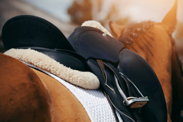 istock Saddle with stirrups on a back of a horse. 1160773951