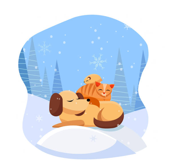 домашние животные комфортно спят на сугробе в заснеженном лесу. кошка спит на собаке, хомяк спит на кошке. снег идет с большими снежинками. п - bff stock illustrations