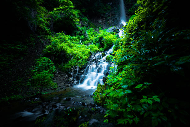 wasserfall in karuizawa, japan - spring waterfall japan landscape stock-fotos und bilder