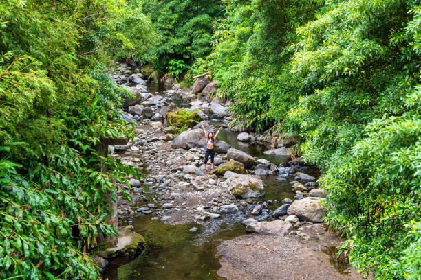 istock Woman hiking through forest stream 1160780546