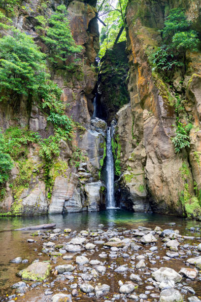 Risco waterfall - madeira island