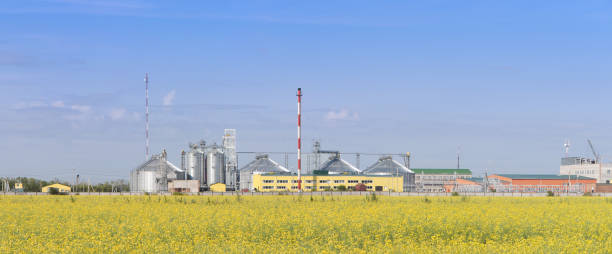 istock Rapeseed oil factory producing biodiesel. 1160783424