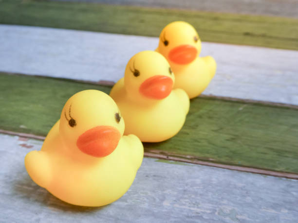 istock Rubber yellow ducks toy on wooden table background 1160785172
