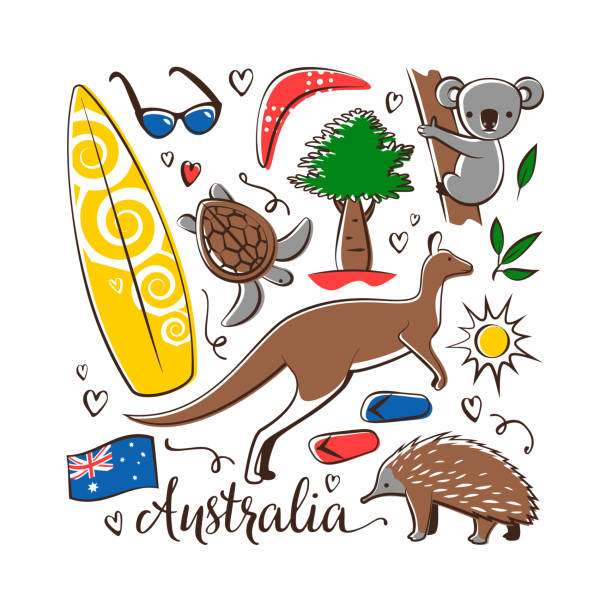 澳大利亞符號 - 澳洲 插圖 幅插畫檔、美工圖案、卡通及圖標