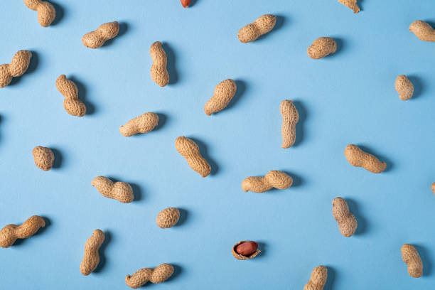 peanuts flat lay minimal on blue background backdrop food nut texture copy space top view - purple pattern abstract backdrop imagens e fotografias de stock