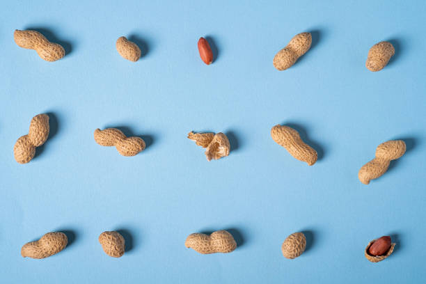 istock Peanuts flat lay minimal on blue background backdrop food nut texture copy space top view 1160796368
