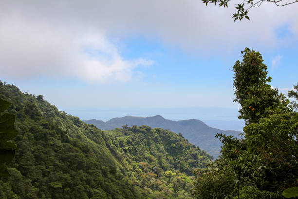 istock Pura Vida - This is beautiful Costa Rica 1160797182