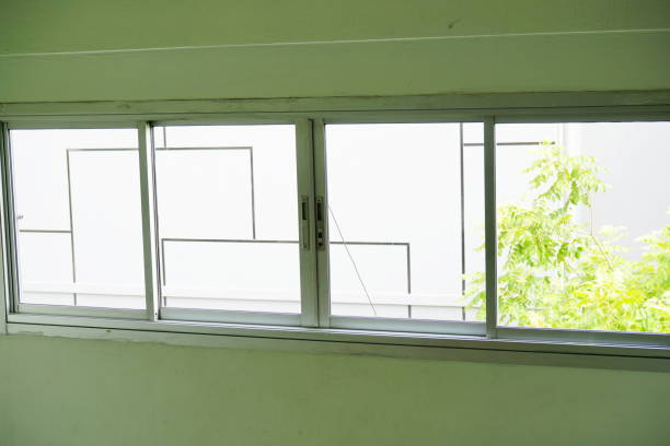 istock Looking through window with tropical forests 1160797228