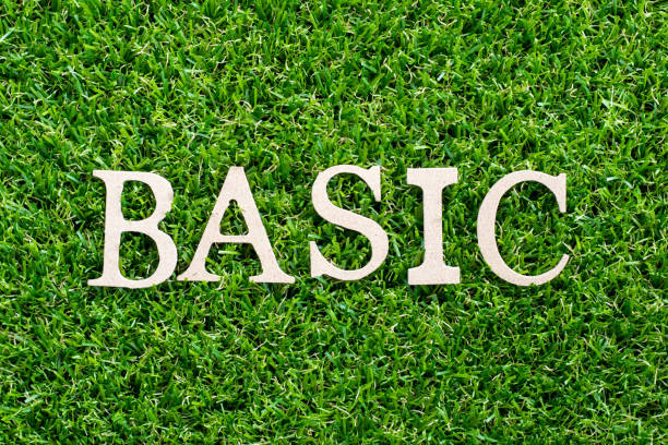 istock Wood letter in word basic on artificial green grass background 1160797402