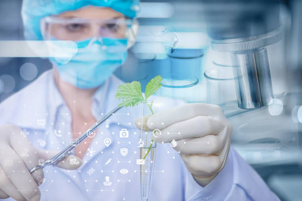 Agriculture research concept