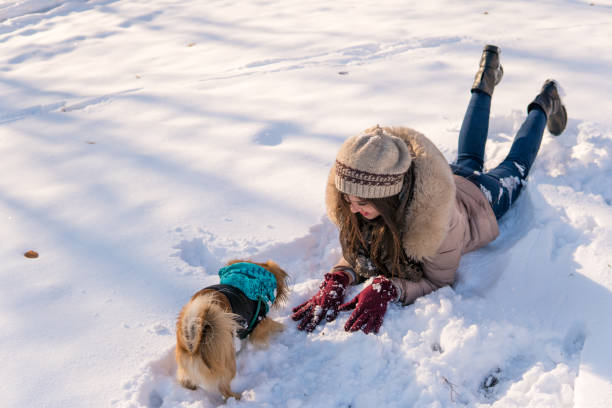 istock Woman playing with dog in the snow 1160799604