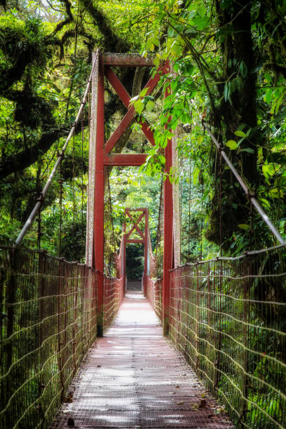 istock Pura Vida - This is beautiful Costa Rica 1160799735