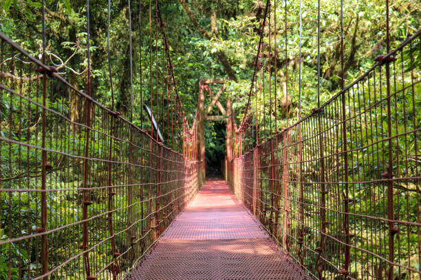istock Pura Vida - This is beautiful Costa Rica 1160800409