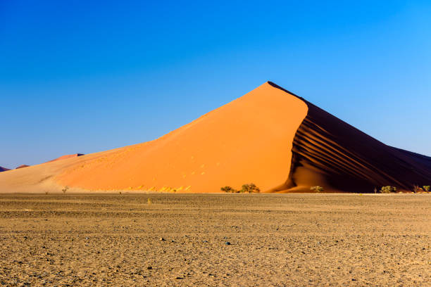 istock Dune 45, Sossusvlei, Namib Desert, Namibia 1160800814