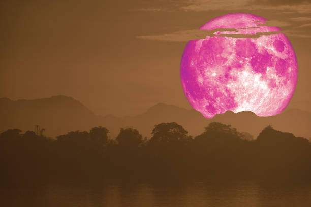 istock super pink fish moon back on cloud and mountain on night sky 1160801027