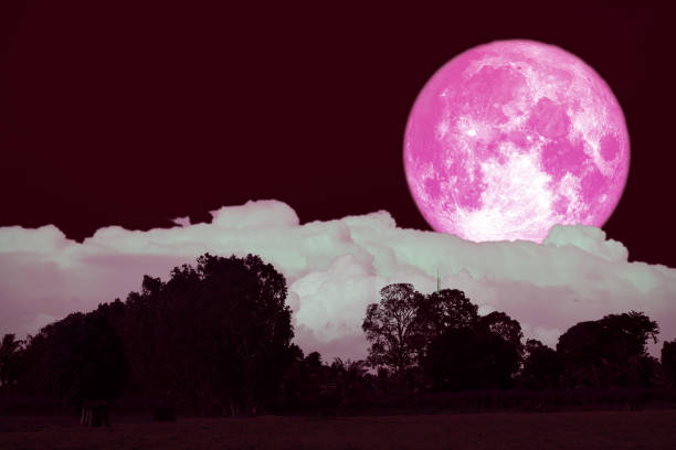 istock full hay moon on night sky back over silhouette forest 1160801089