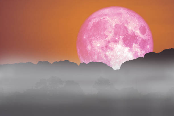 istock full pink fish moon back on cloud and fog on mountain night sky 1160801167