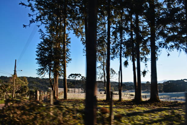 istock Beautiful countryside with frost 1160801877