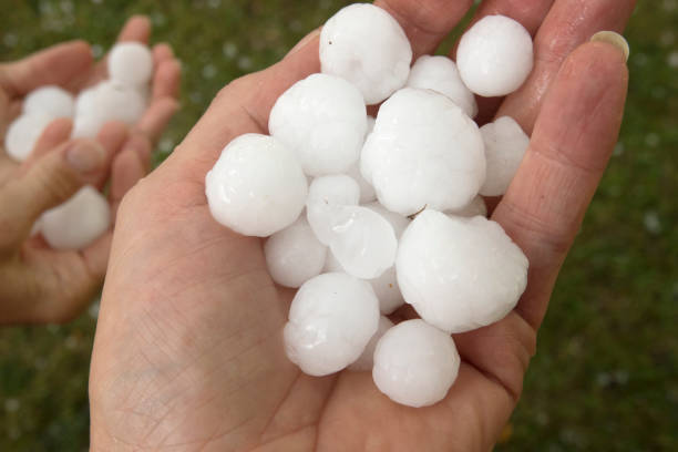 Wet hands hold large hail stones July fourth Denver Colorado stock photo