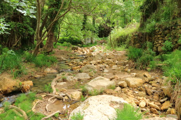 istock Trail in Kollita gorges (Moudriano, Poros, Moundros gorge), Crete, Greece 1160804087