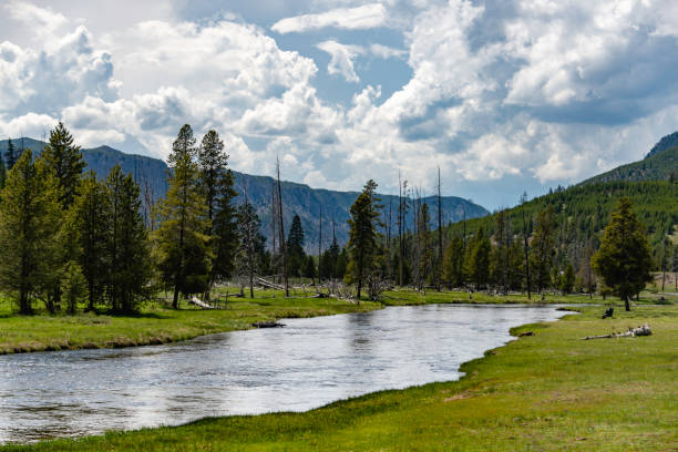 istock Yellowstone National Park Landscape 1160804286