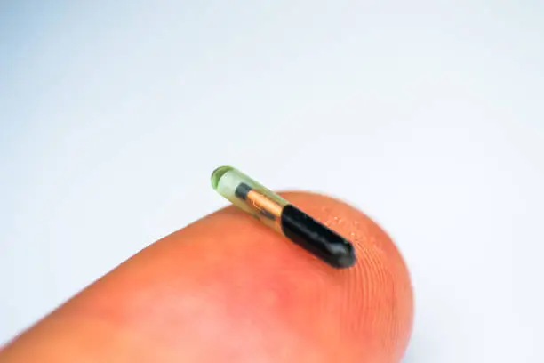 Photo of close-up photo of a microchip for pets on human finger