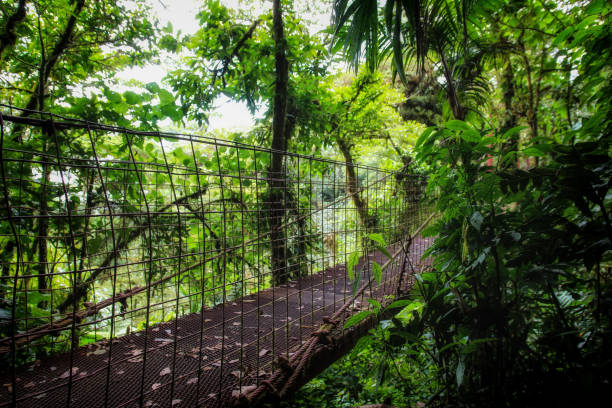 istock Pura Vida - This is beautiful Costa Rica 1160805712