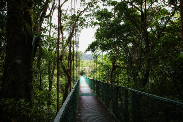 istock Pura Vida - This is beautiful Costa Rica 1160805954