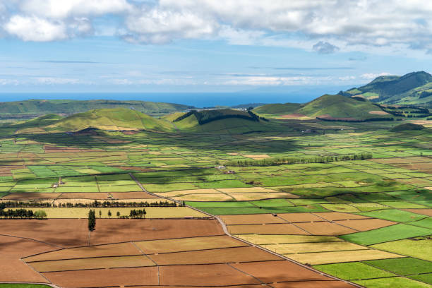 Farmland and agriculture landscape on Terceira Island - The Azores Farmland and agriculture landscape on Terceira Island - The Azores terceira azores stock pictures, royalty-free photos & images